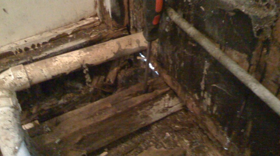 Joist Replacement 4